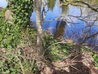 /album/winter-in-wervershoof-2020-21/wervershoof-17-jpg/